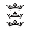 Hull City Council